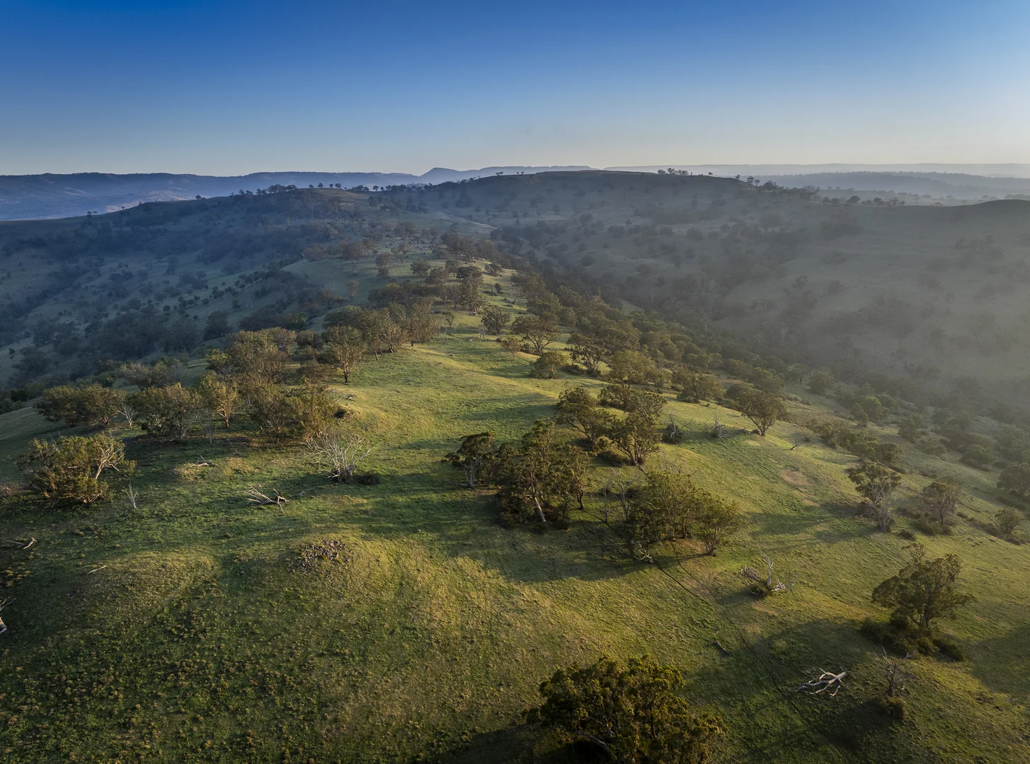 Additional image 7 of 'Mountainside' 250 Mountain Side Road, Coolah NSW 2843