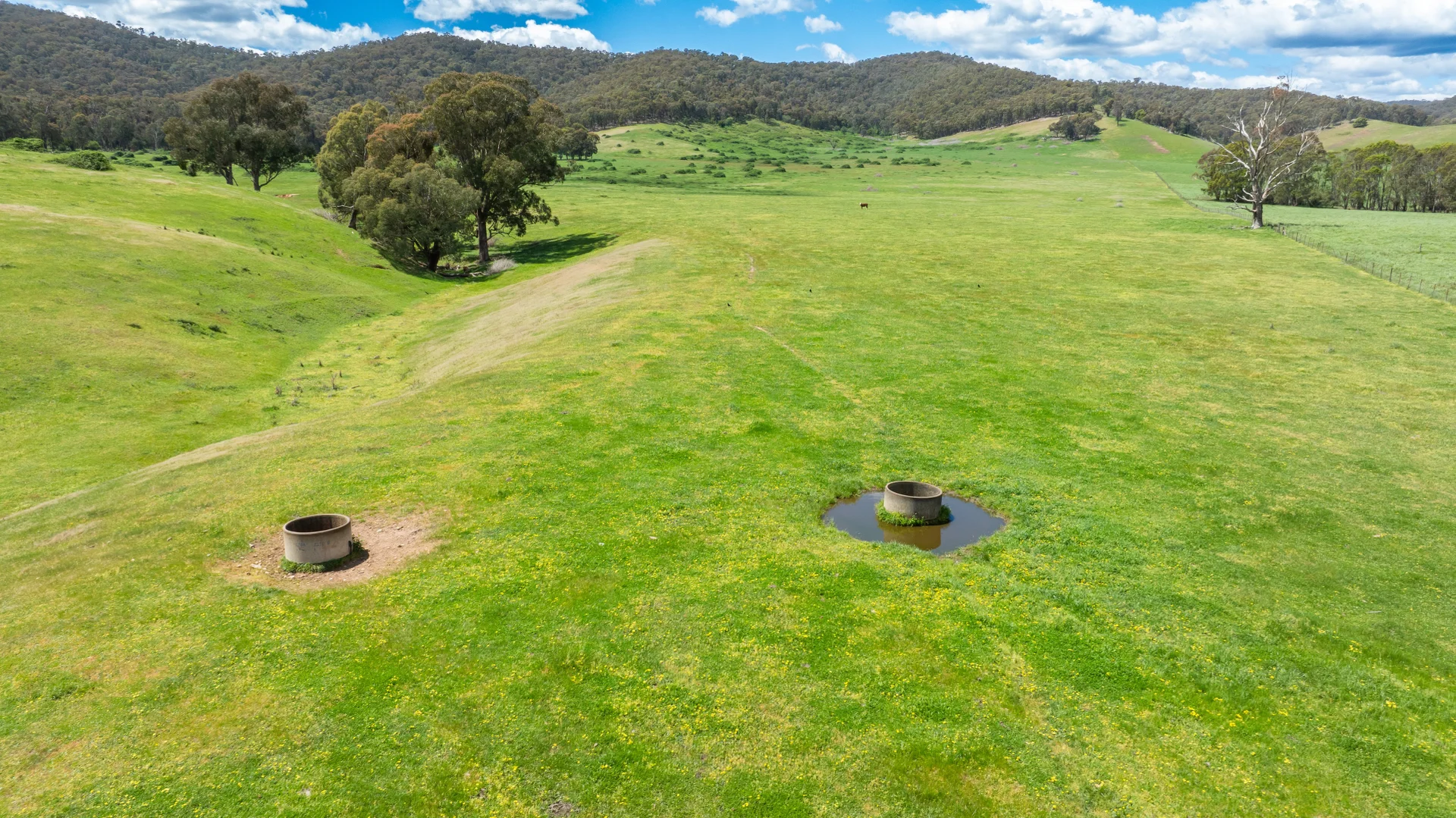 Additional image 15 of 'Grassmere'/2485 Tallangatta Creek Rd, Tallangatta Valley VIC 3701