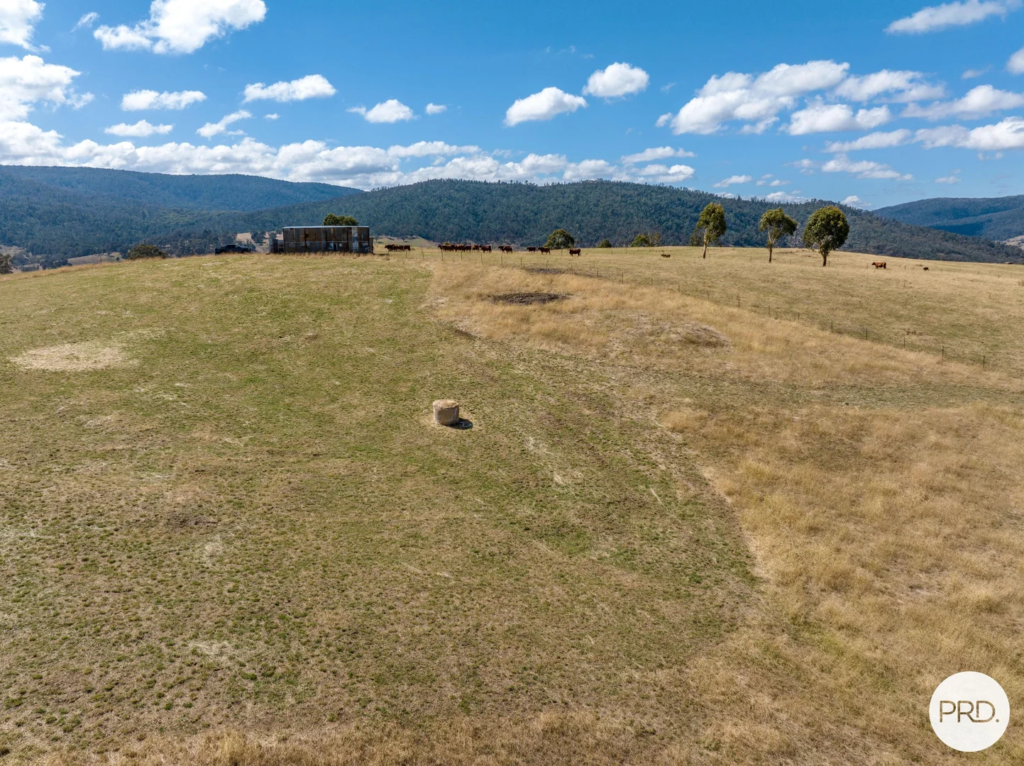 Additional image 36 of 1100 Batlow Road, Tumbarumba NSW 2653