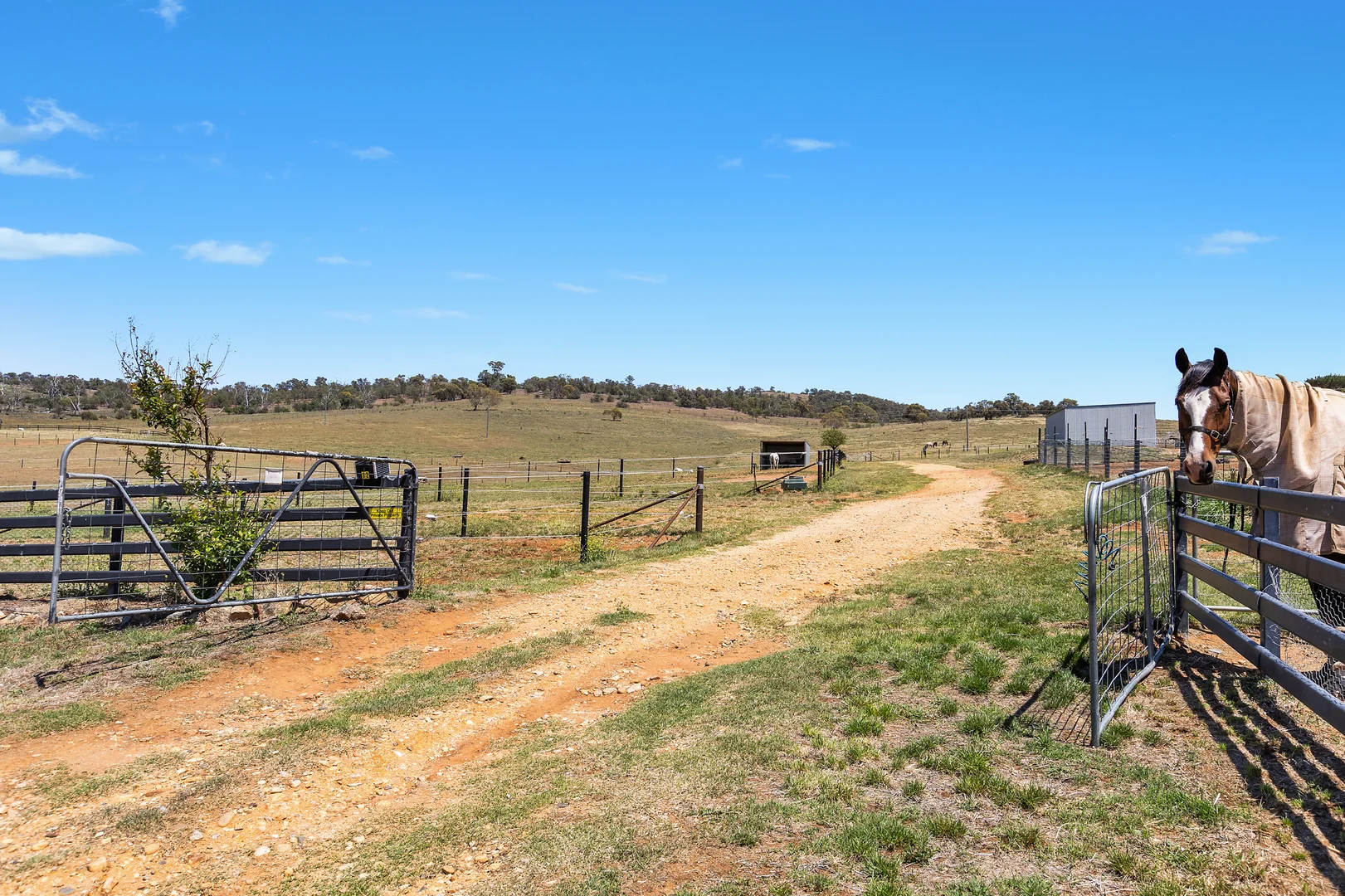 Additional image 2 of 12 Jindalee Street, Berridale NSW 2628