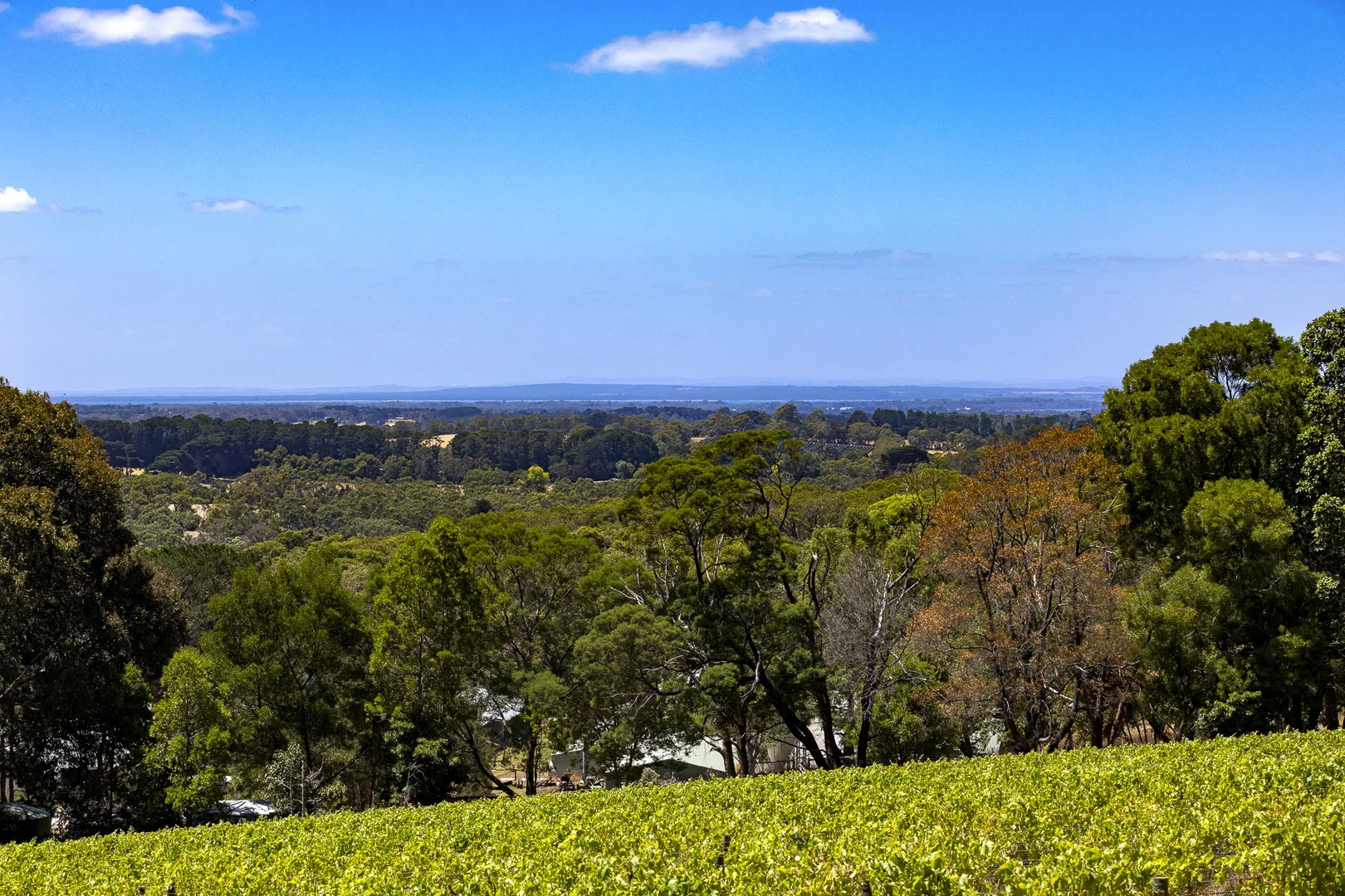 Additional image 6 of 100 Stanleys Road, Red Hill South VIC 3937