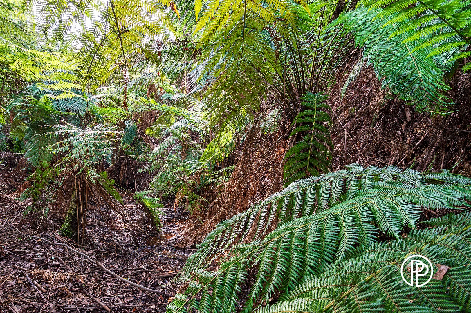 Additional image 14 of 330 Prices Road, Gladysdale VIC 3797