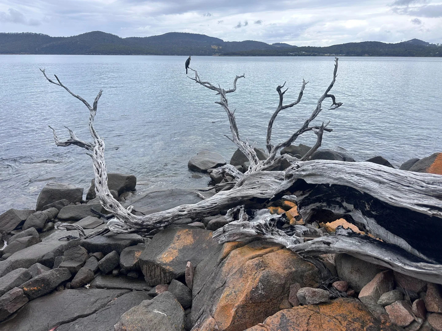 Additional image 27 of 36 Spaulding Street, White Beach TAS 7184