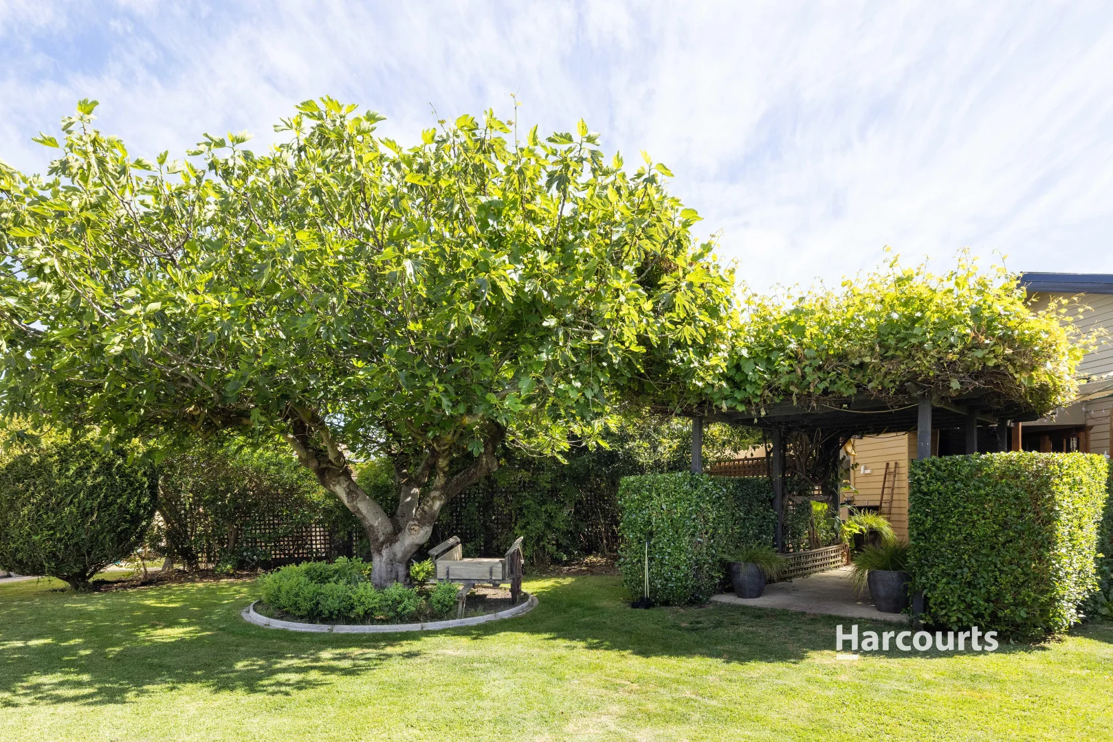 Additional image 21 of 27 Risby Street, Ulverstone TAS 7315