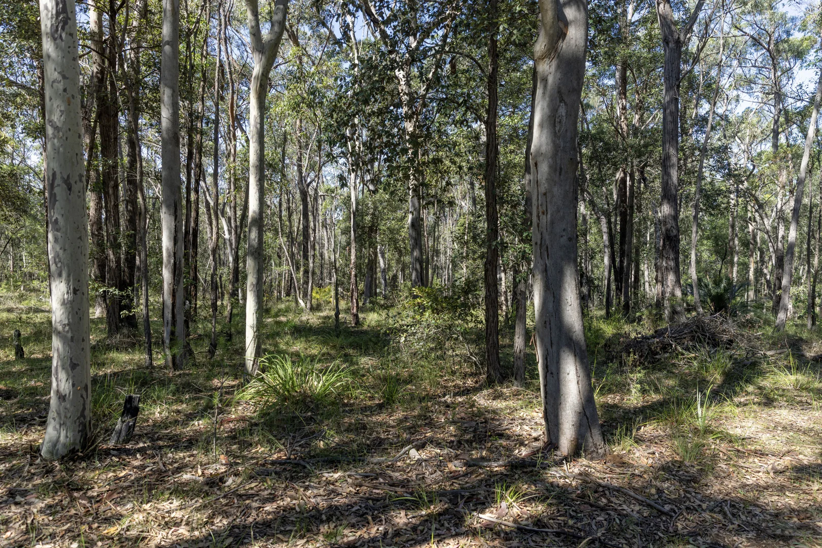 Additional image 22 of 1195 Illaroo Road, Tapitallee NSW 2540