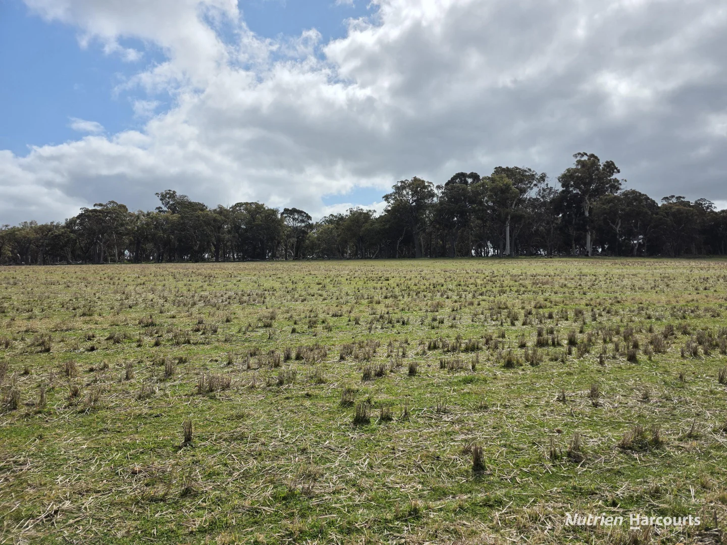 Additional image 30 of Lot 347 Yarralena Road, Cranbrook WA 6321