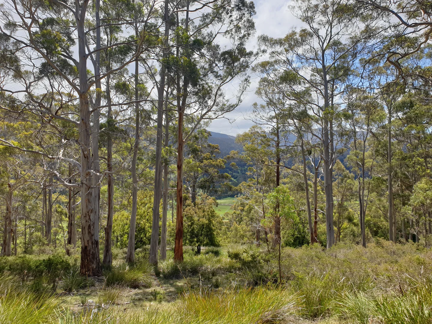 Additional image 13 of 10 Cross Road, Nicholls Rivulet TAS 7112