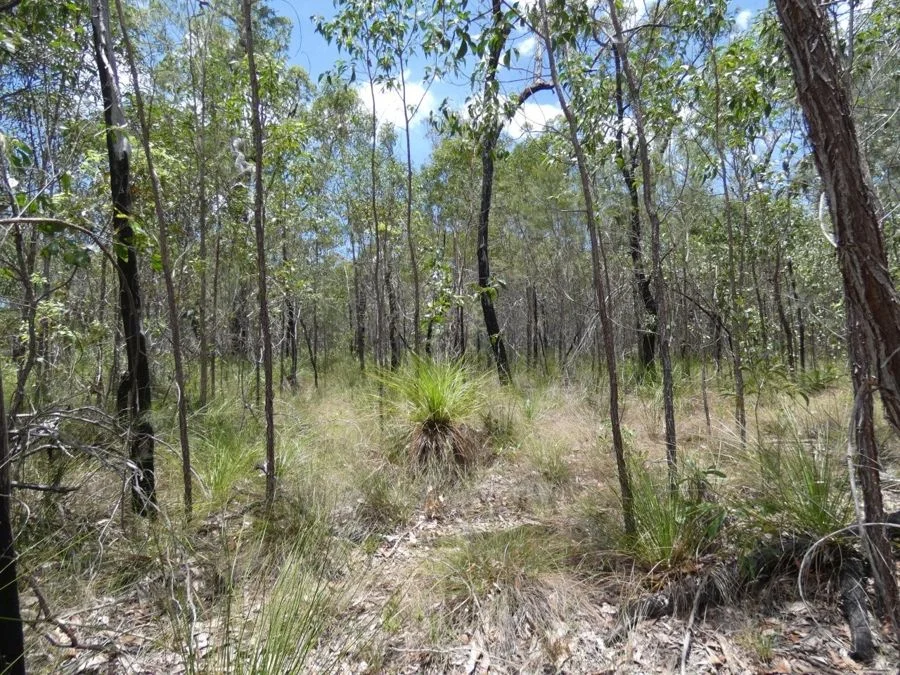Additional image 17 of 668 Matchbox Road, Deepwater QLD 4674