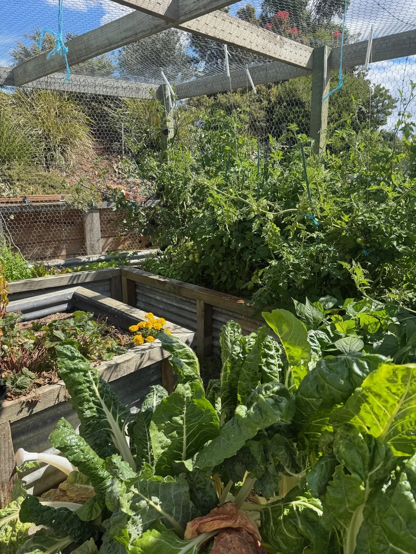 Additional image 25 of 5c Glovers Road, Deep Bay TAS 7112