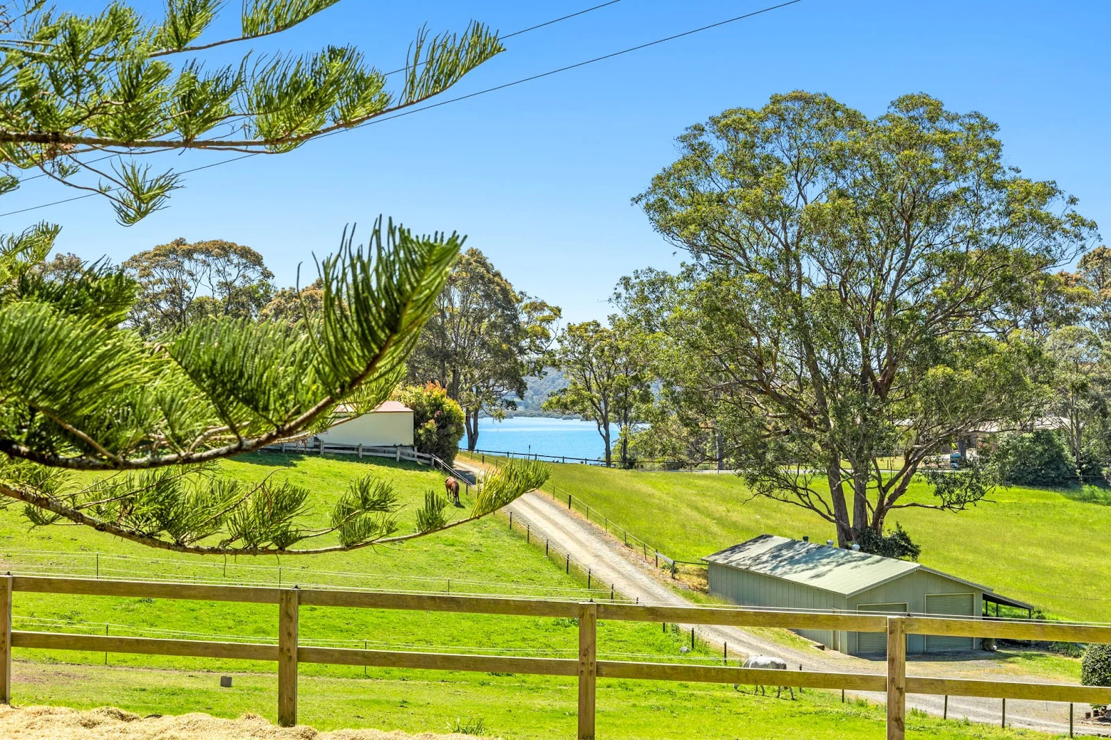 Additional image 20 of 81 Old Highway, Narooma NSW 2546