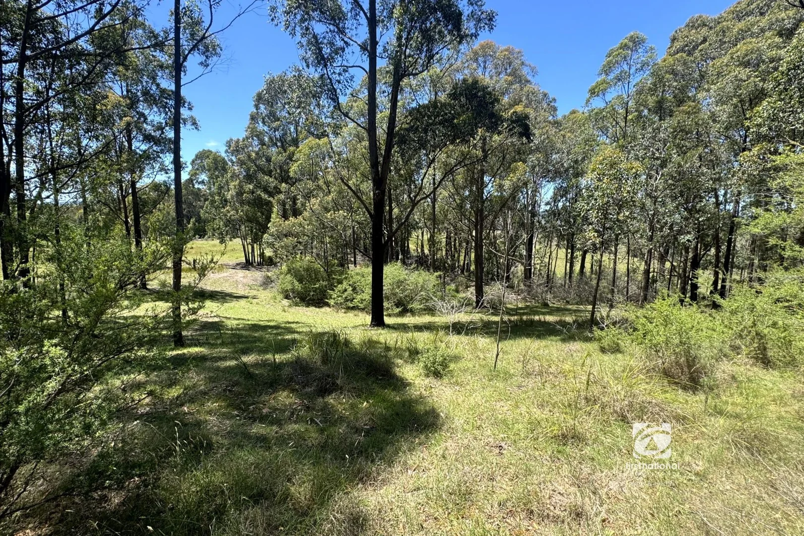 Additional image 7 of 139 Buchan South Road, Buchan South VIC 3885