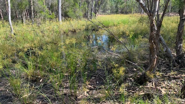 L184 Golden Glow Road, Tara QLD 4421