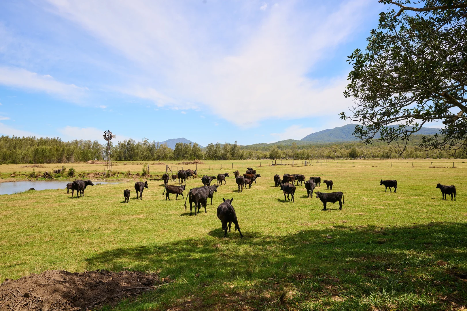 Additional image 9 of 4300 Pacific Highway, Middle Brother NSW 2443