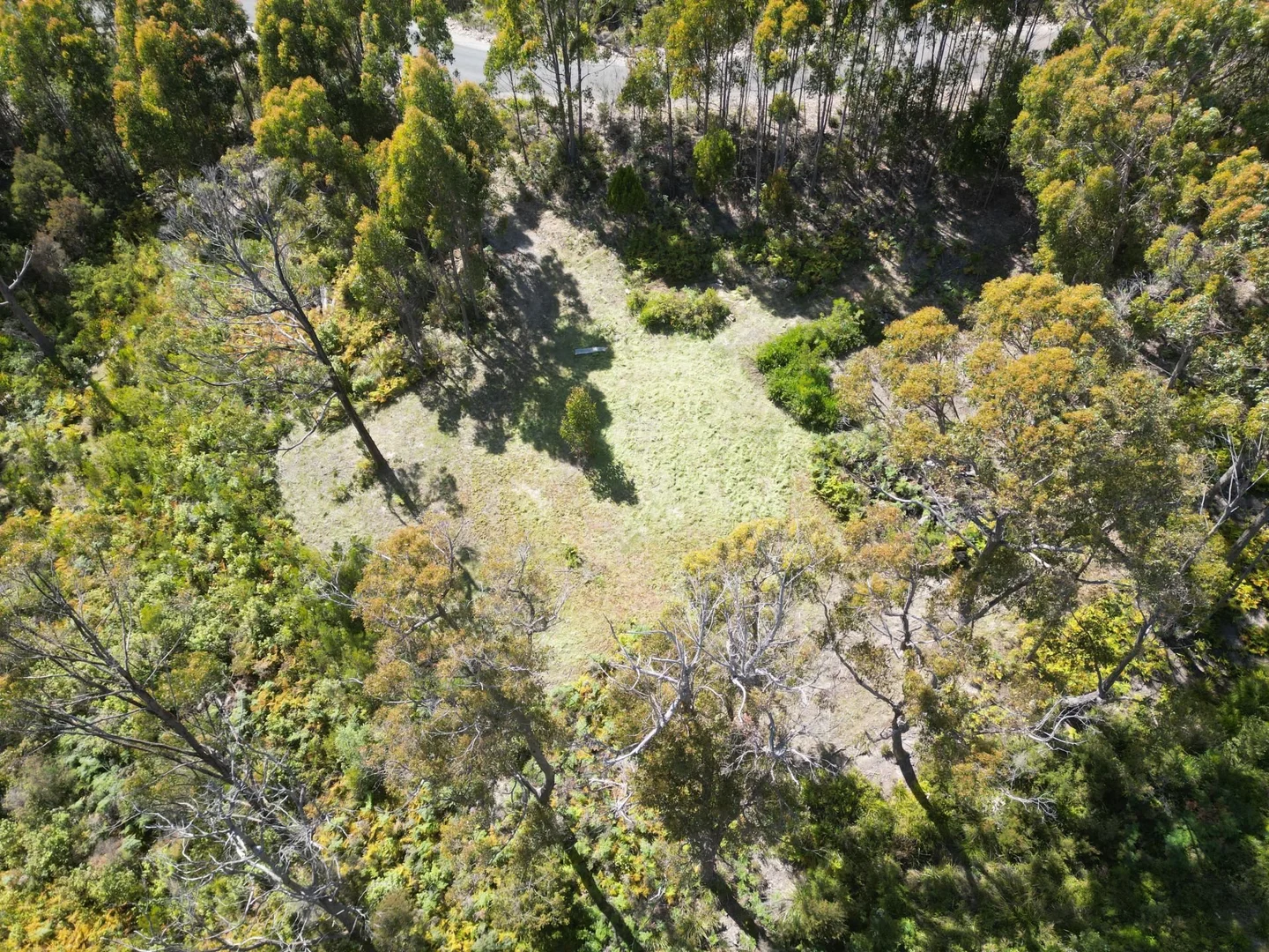 Additional image 11 of 1 Woodland Grove, Tugrah TAS 7310