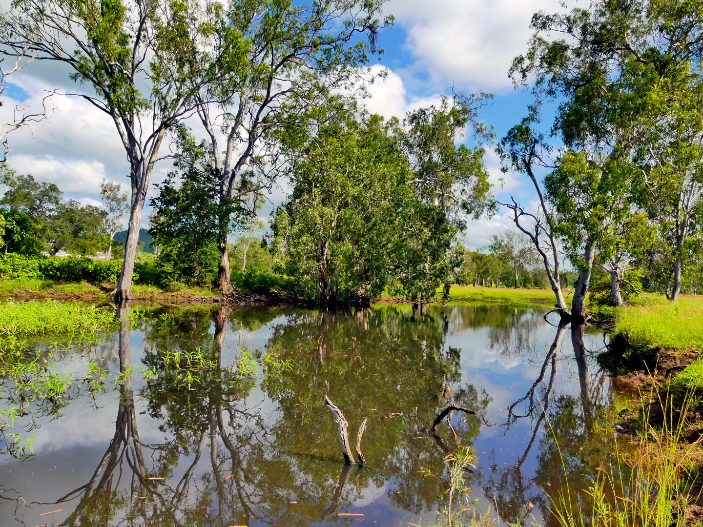 Additional image 3 of "Jacques " 0 Cunningham Road,, Nine Mile QLD 4702