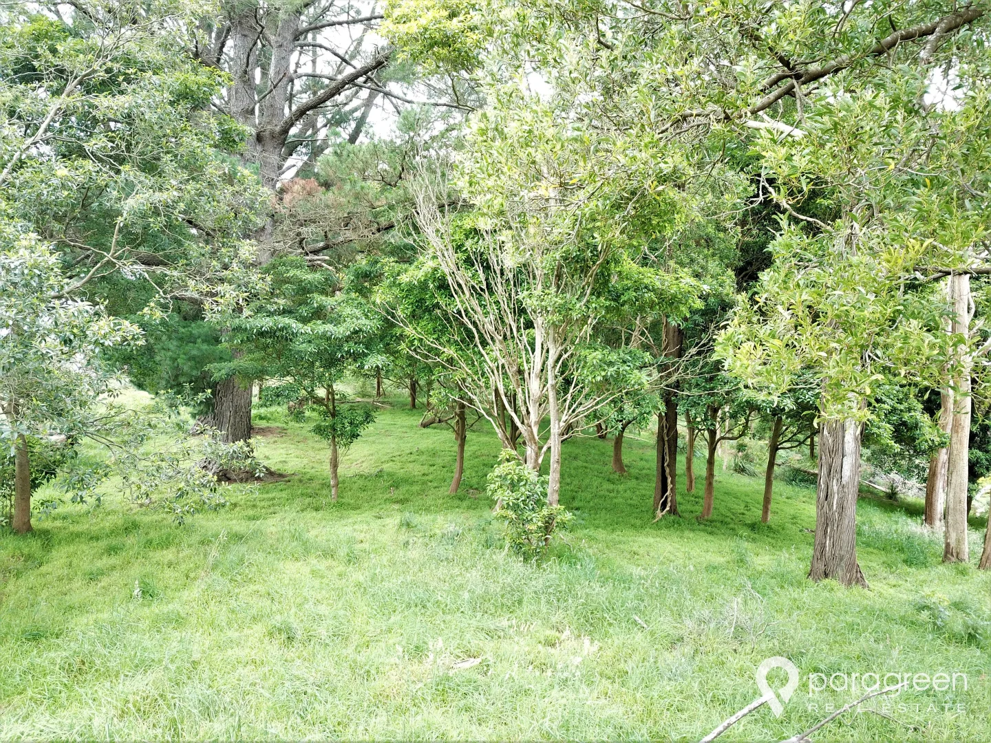 Additional image 9 of 13 Winchester Street, Foster VIC 3960