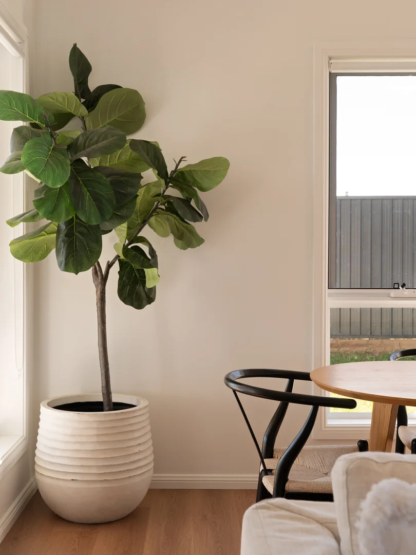 Additional image 16 of 16 Somerset Street, Wilton NSW 2571