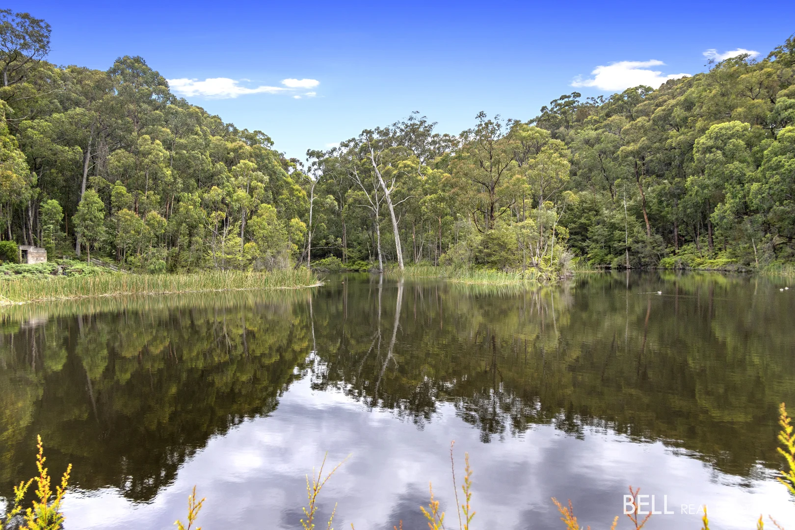 Additional image 17 of 740 Little Yarra Road, Gladysdale VIC 3797