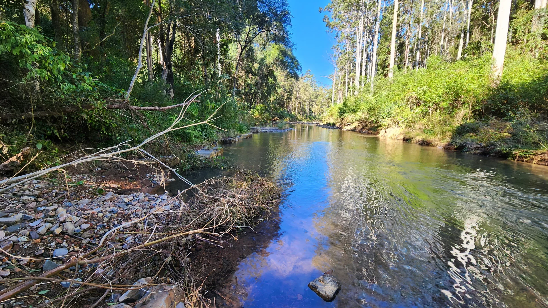 Additional image 9 of 427 Shaws Road, Hollisdale NSW 2446