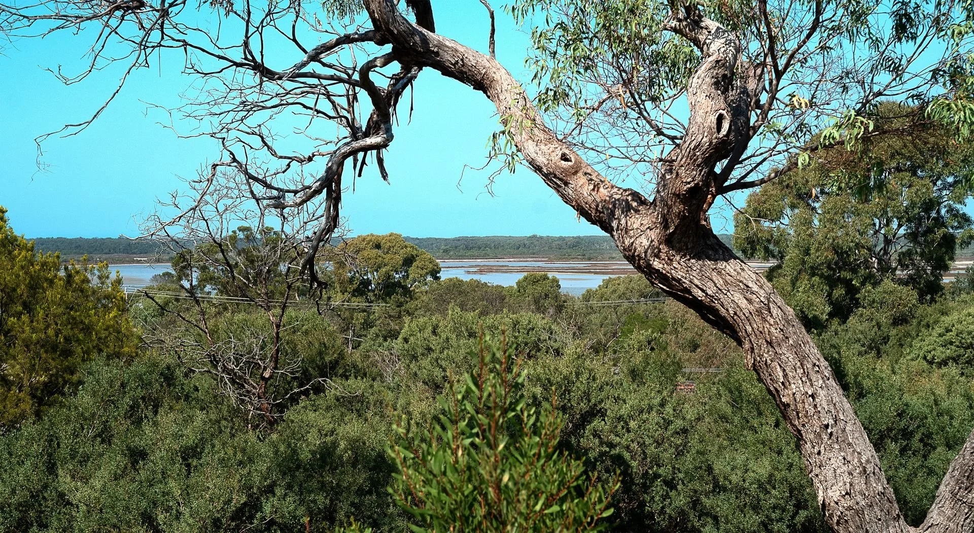 Additional image 2 of 139 Toorak Avenue, Loch Sport VIC 3851