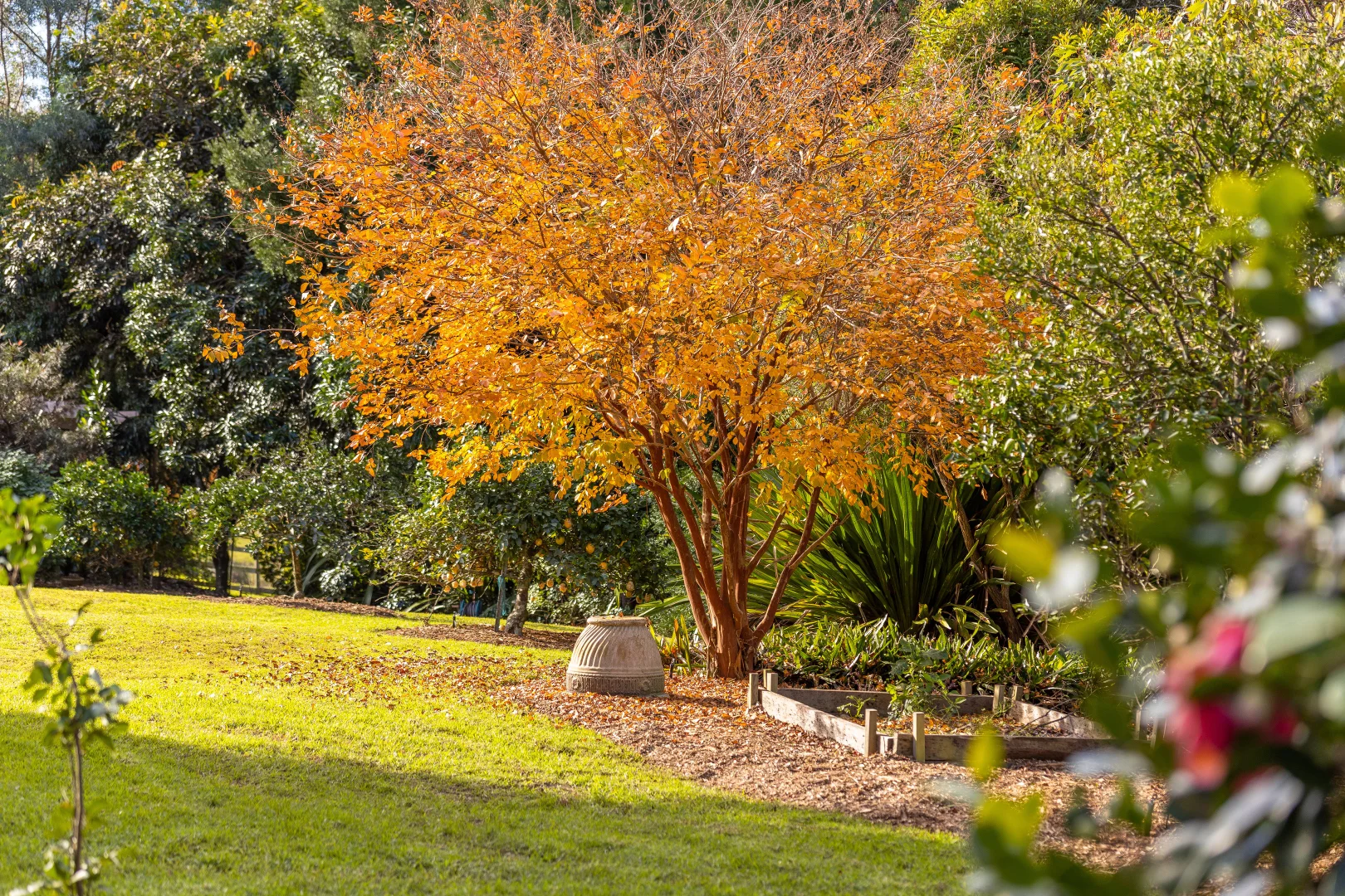 Additional image 23 of 155 Spicers Road, Rainbow Flat NSW 2430