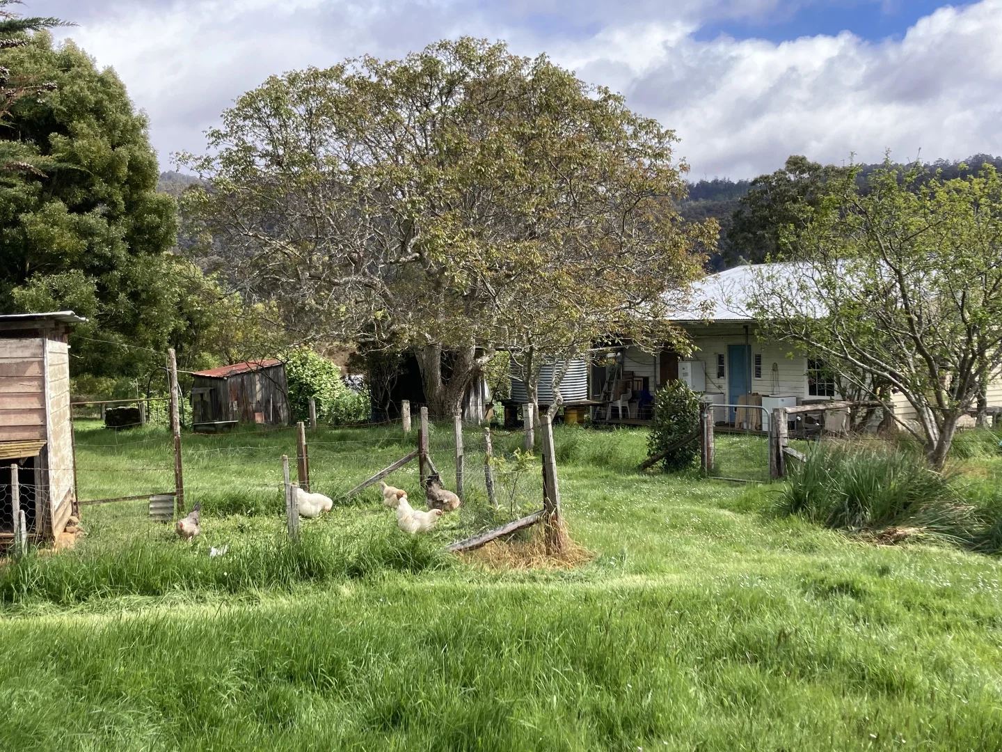 Additional image 23 of 59 Chittys Road, Franklin TAS 7113