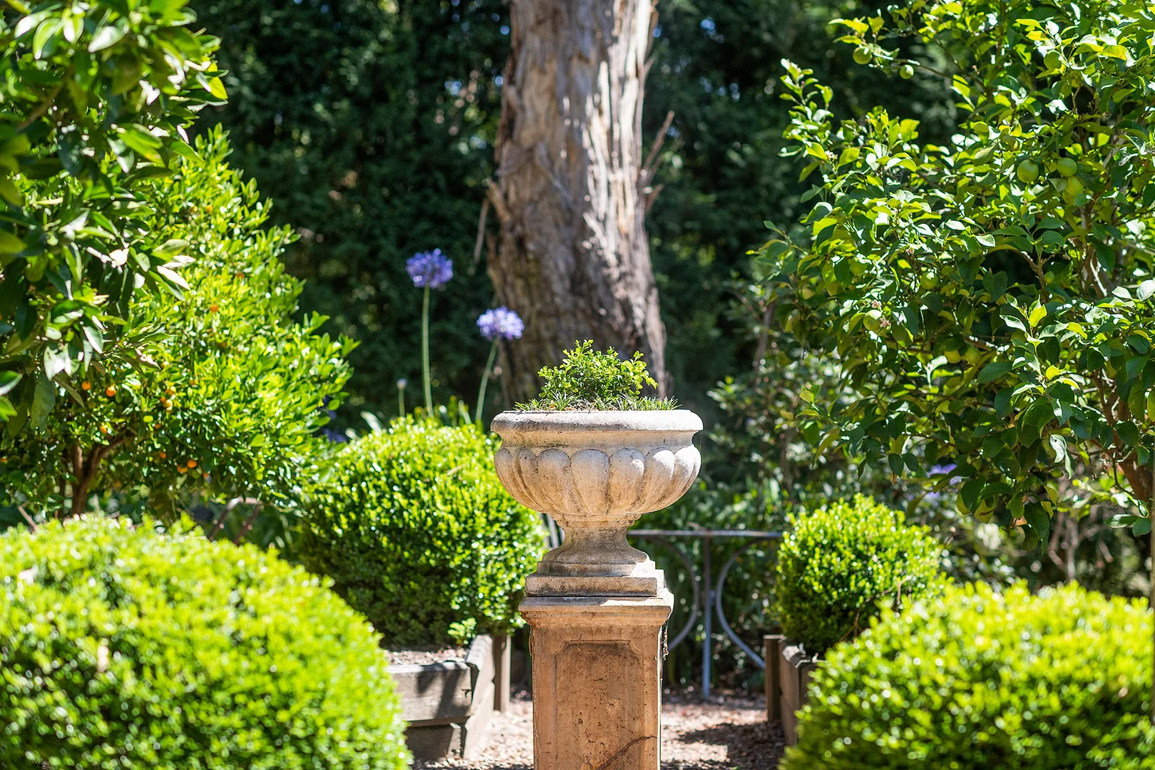 Additional image 20 of 141 Oxley Drive, Mittagong NSW 2575