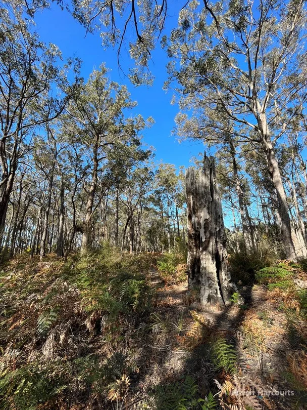 Additional image 16 of . South Gippsland Highway, Woodside VIC 3874