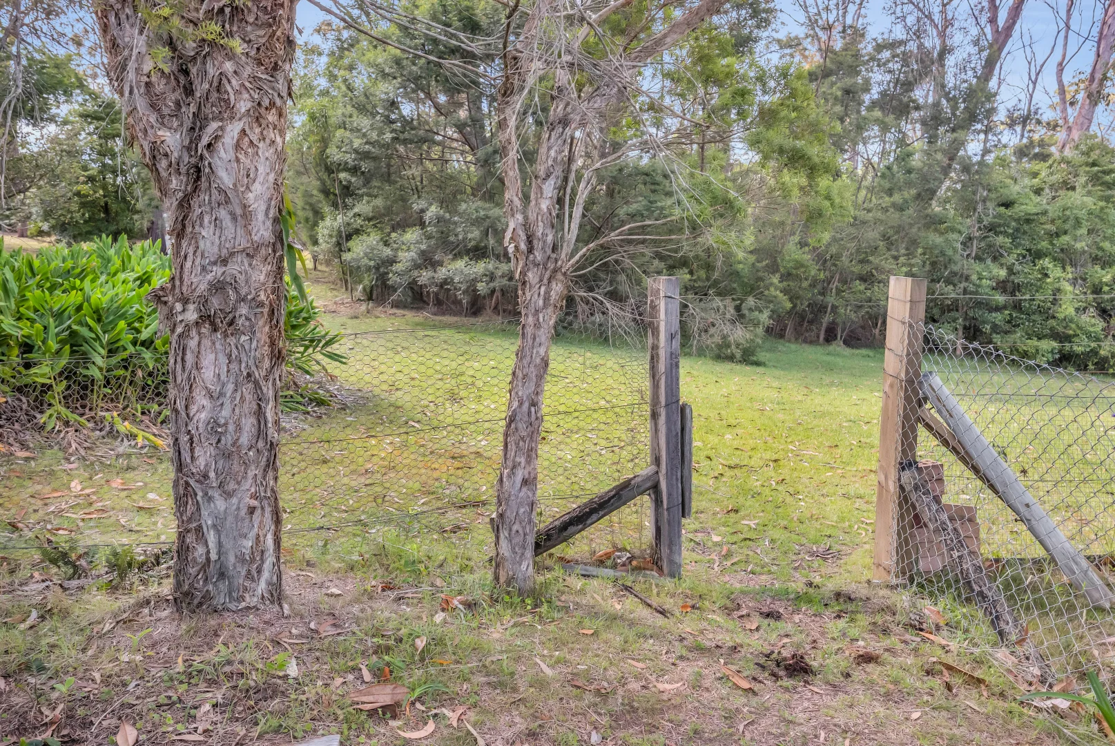 Additional image 7 of 15 Fairhaven Point Way, Wallaga Lake NSW 2546