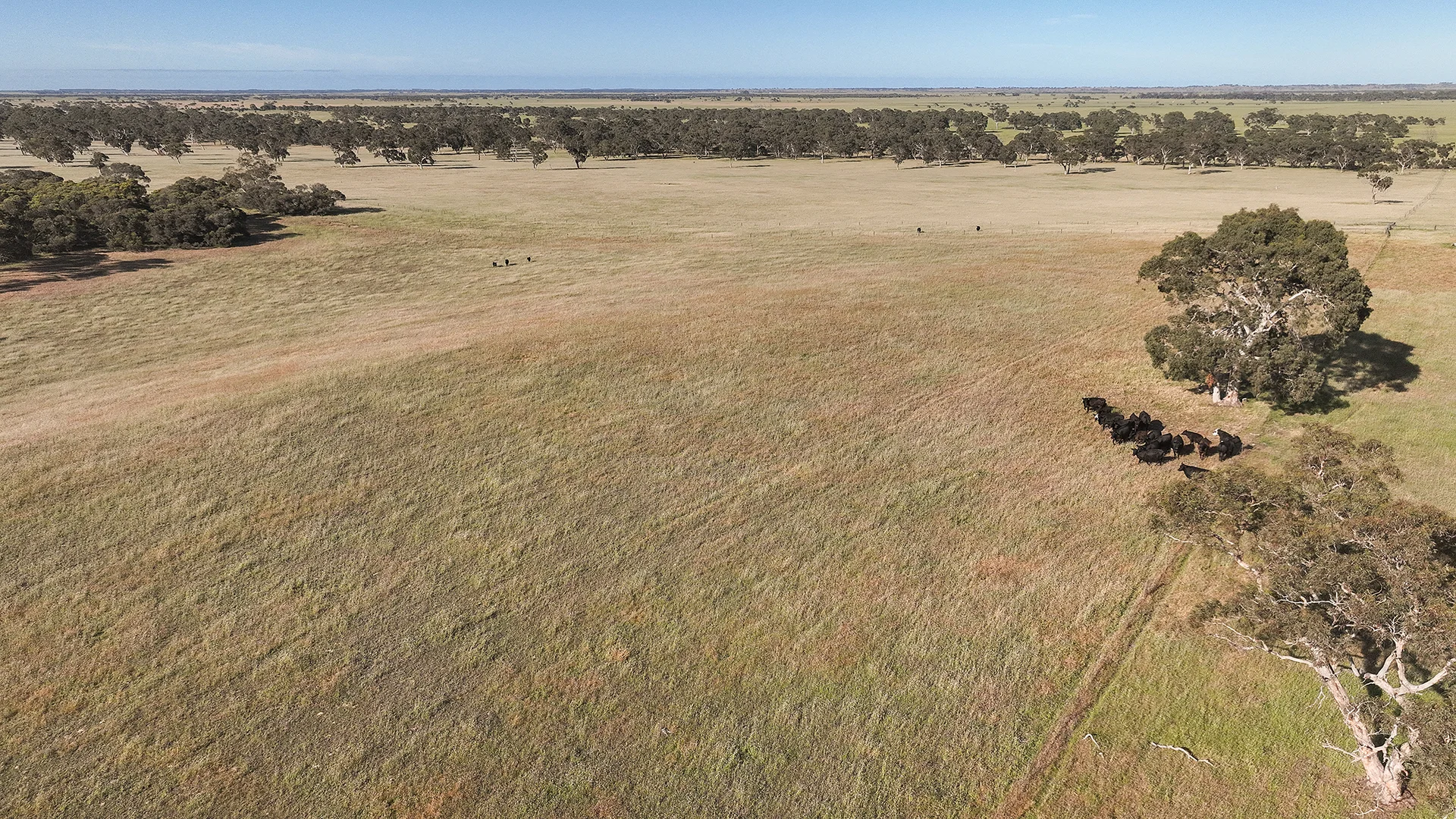 Additional image 5 of 1112 Minnie Crowe Road, Avenue Range SA 5273