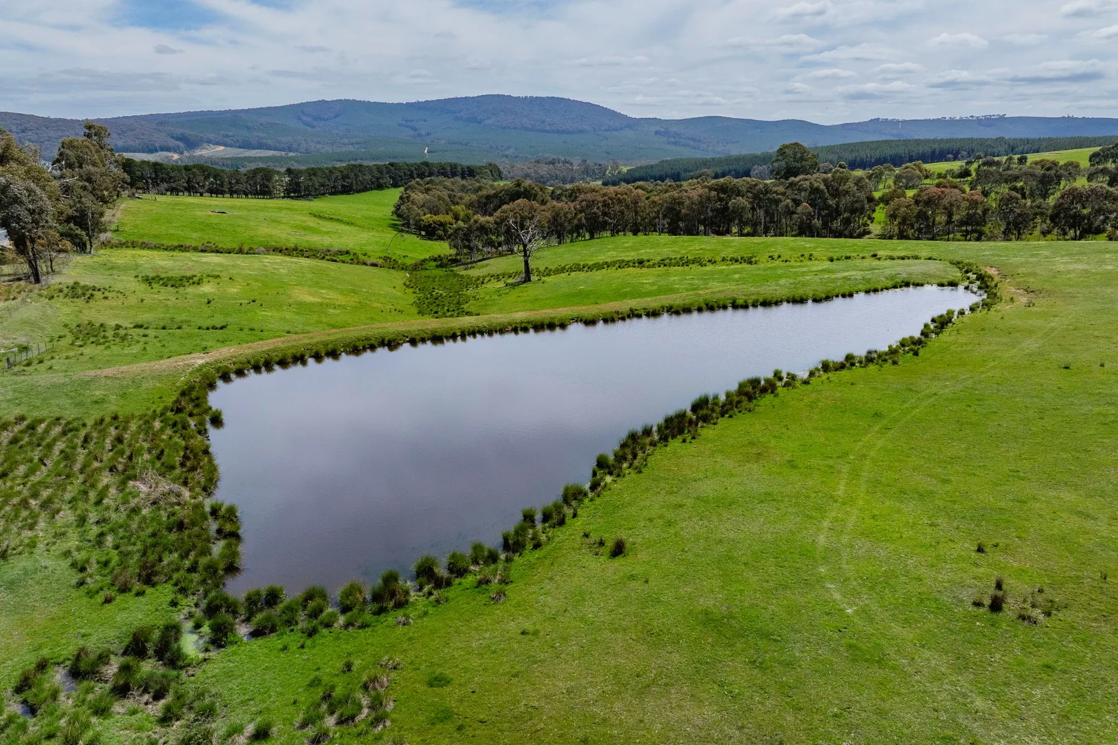 Additional image 27 of 2026 Jingellic Road, Tumbarumba NSW 2653