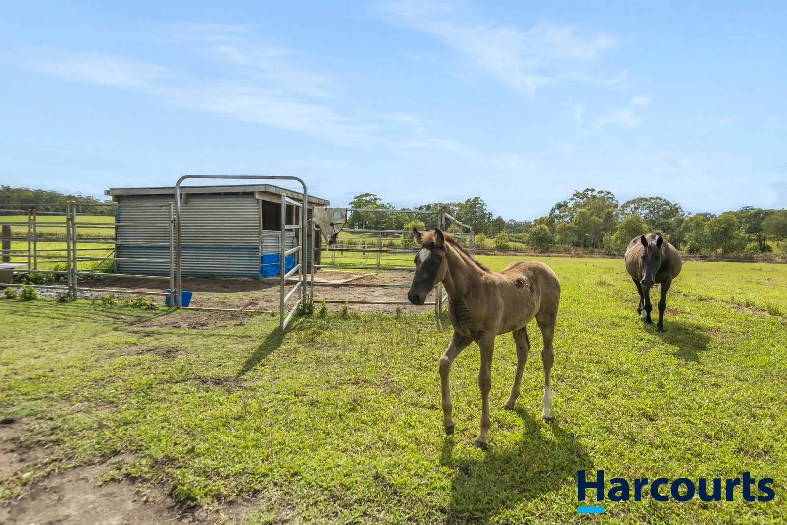 Additional image 2 of 406 Old Bagotville Road, Bagotville NSW 2477