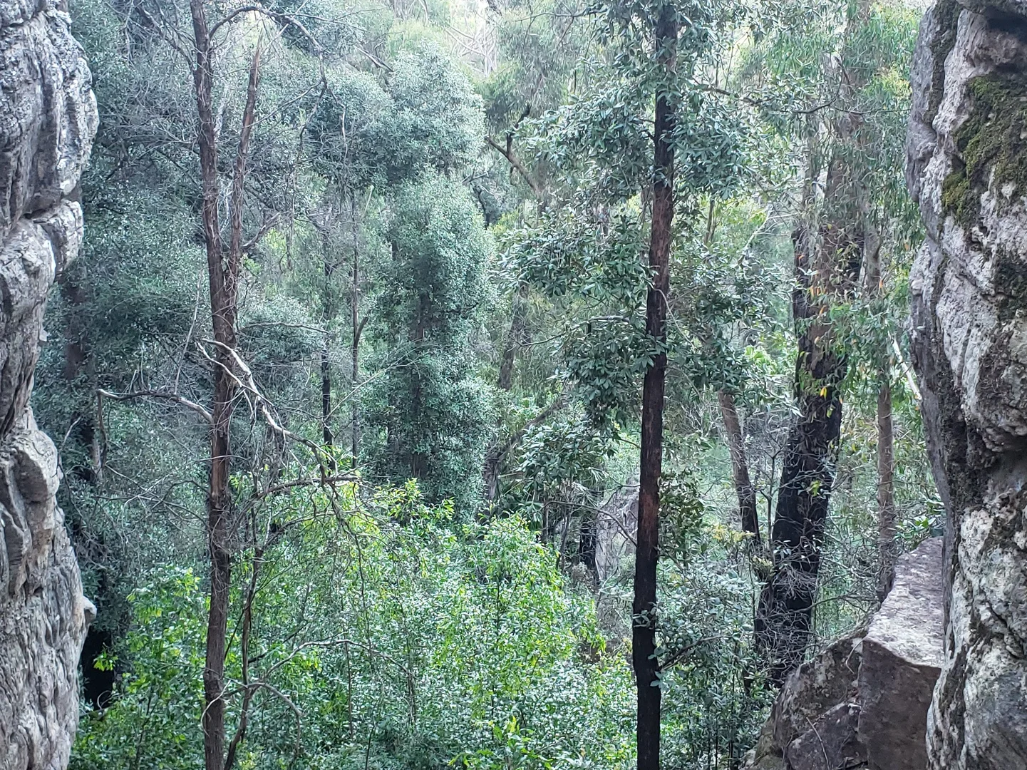 Additional image 8 of Illaroo NSW 2540