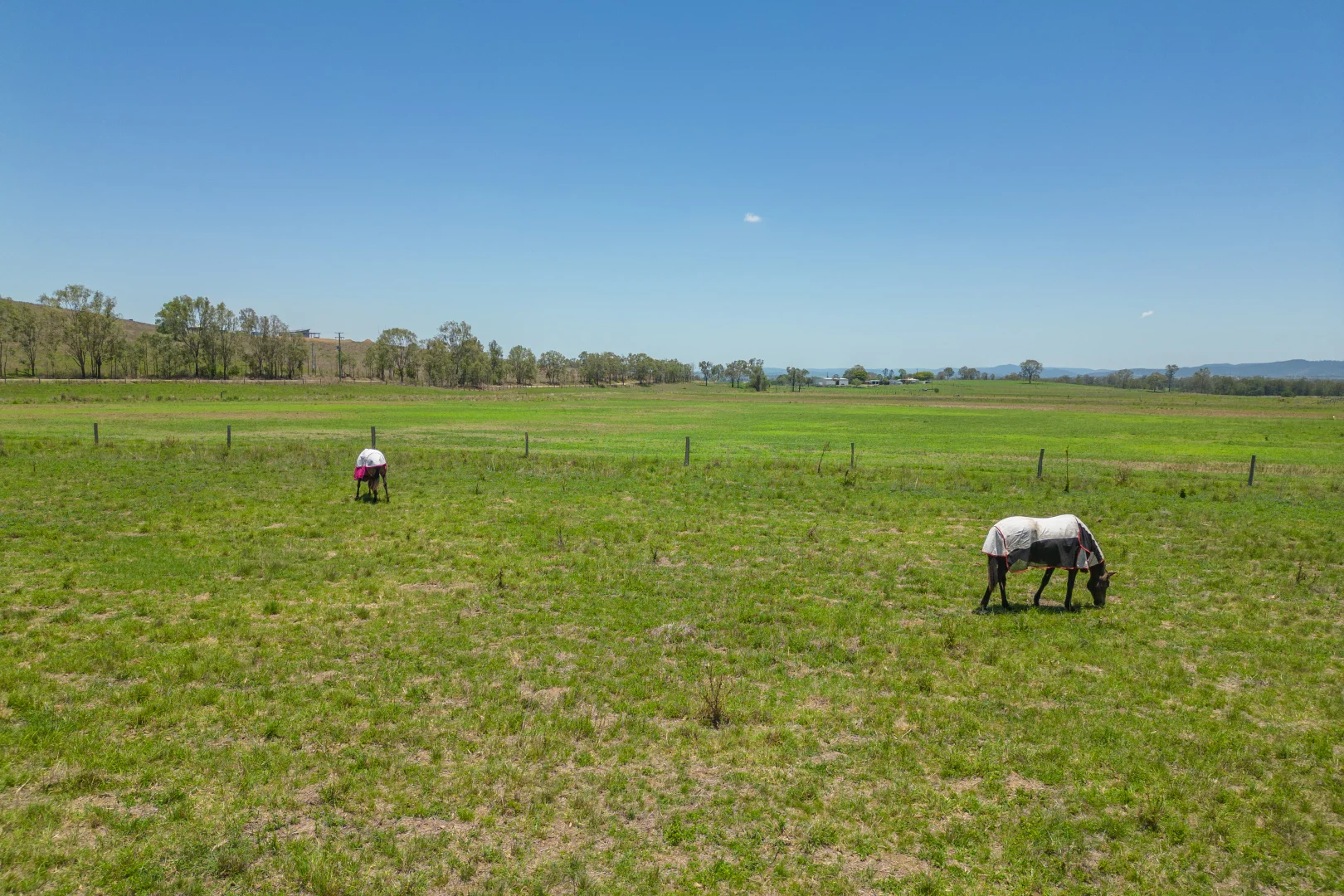 Additional image 24 of 483 Scrub Creek Road, Scrub Creek QLD 4313