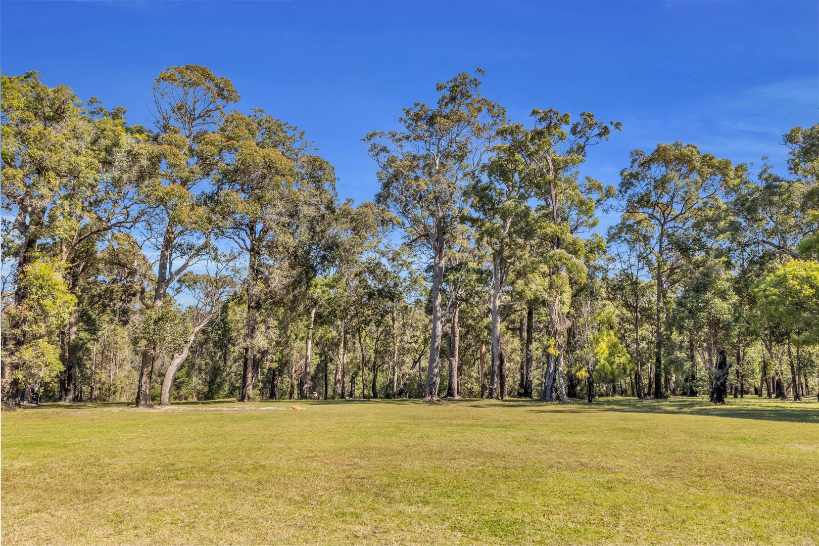 Additional image 24 of 3 Sylvia Court, Mallacoota VIC 3892