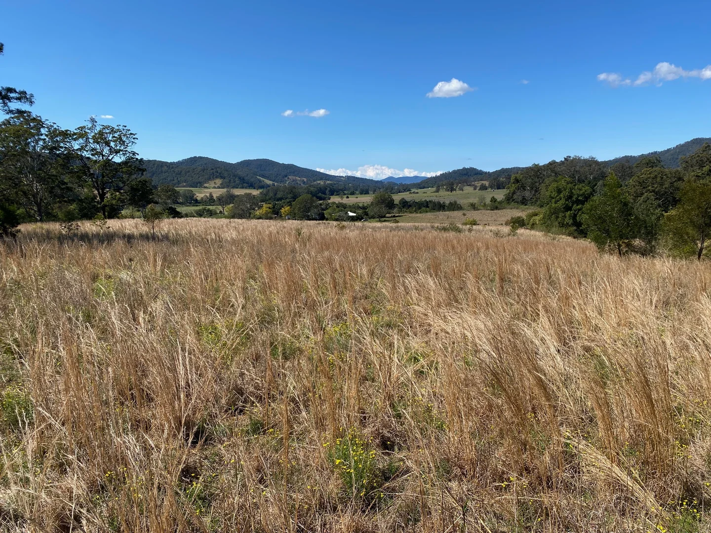 Additional image 2 of 427 Shaws Road, Hollisdale NSW 2446