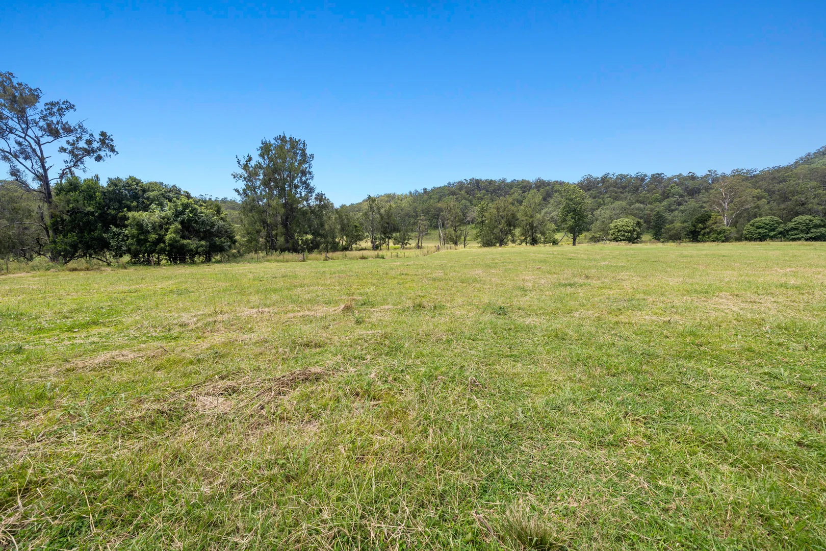 Additional image 18 of 665 Theresa Creek Road, Theresa Creek NSW 2469