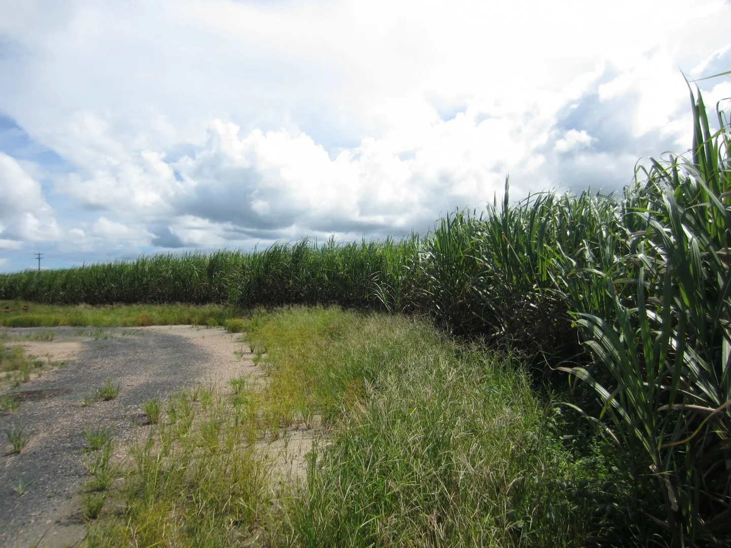 Additional image 10 of Japoonvale QLD 4856