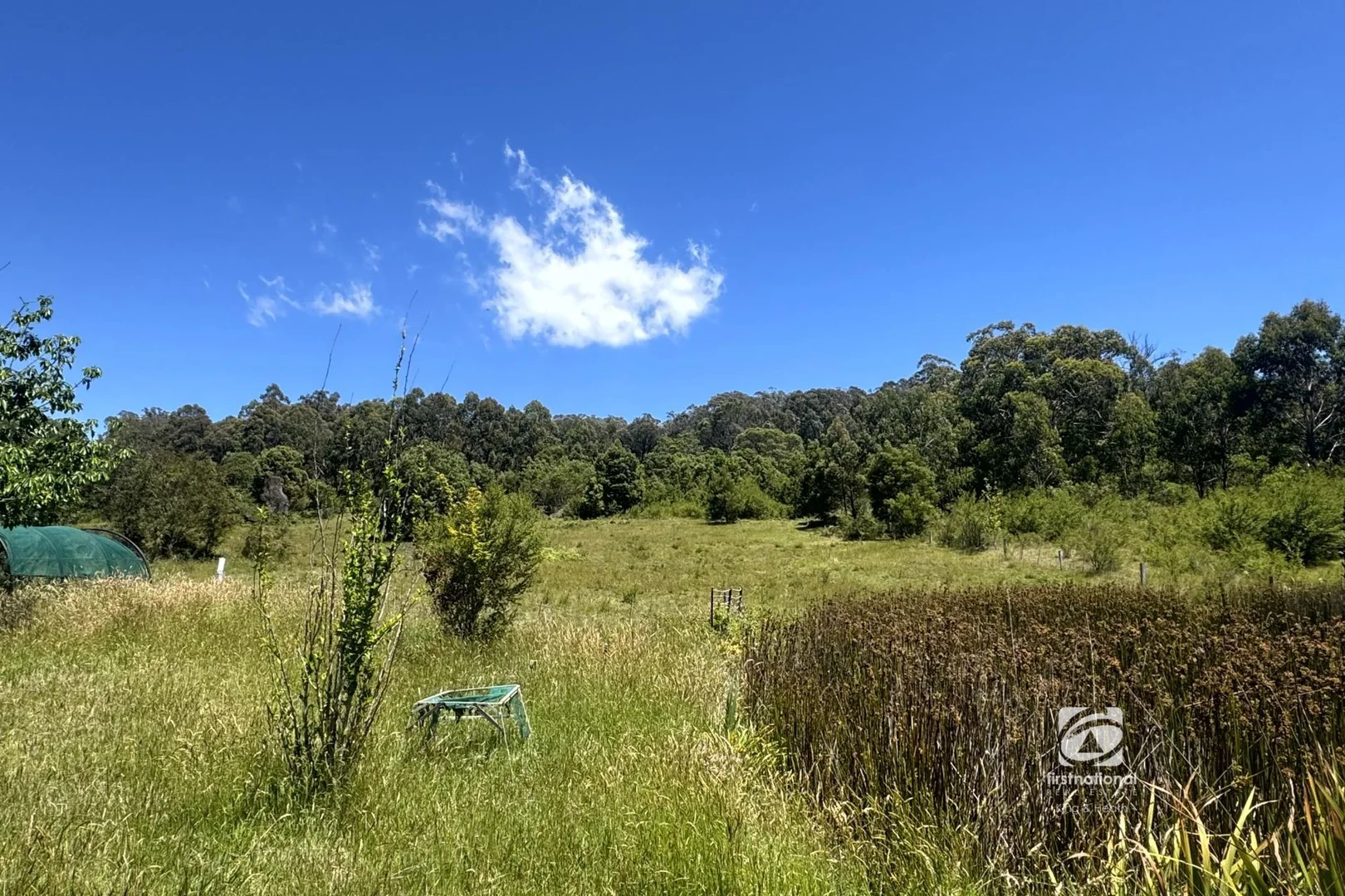 Additional image 4 of 139 Buchan South Road, Buchan South VIC 3885