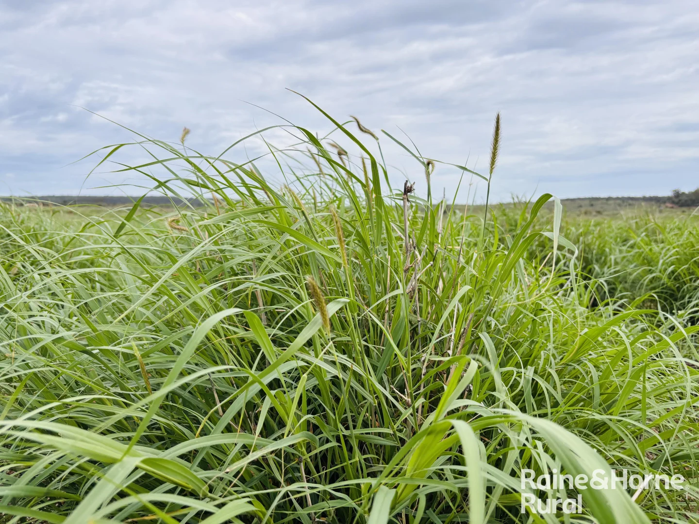 Additional image 2 of 1148 Nalpa Downs Road, Mitchell QLD 4465
