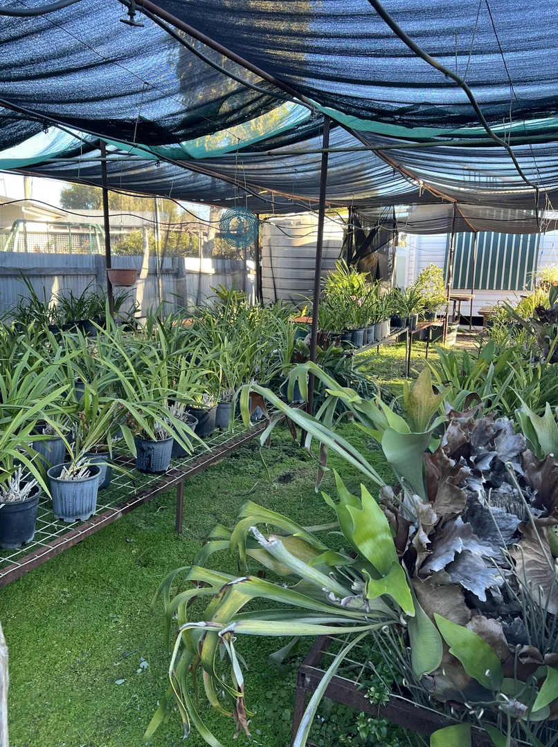 Additional image 14 of 195 Dowling Street West, Balranald NSW 2715