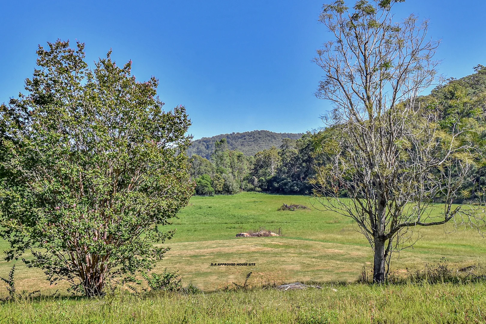 Additional image 15 of 61 Narone Creek Rd, Wollombi NSW 2325