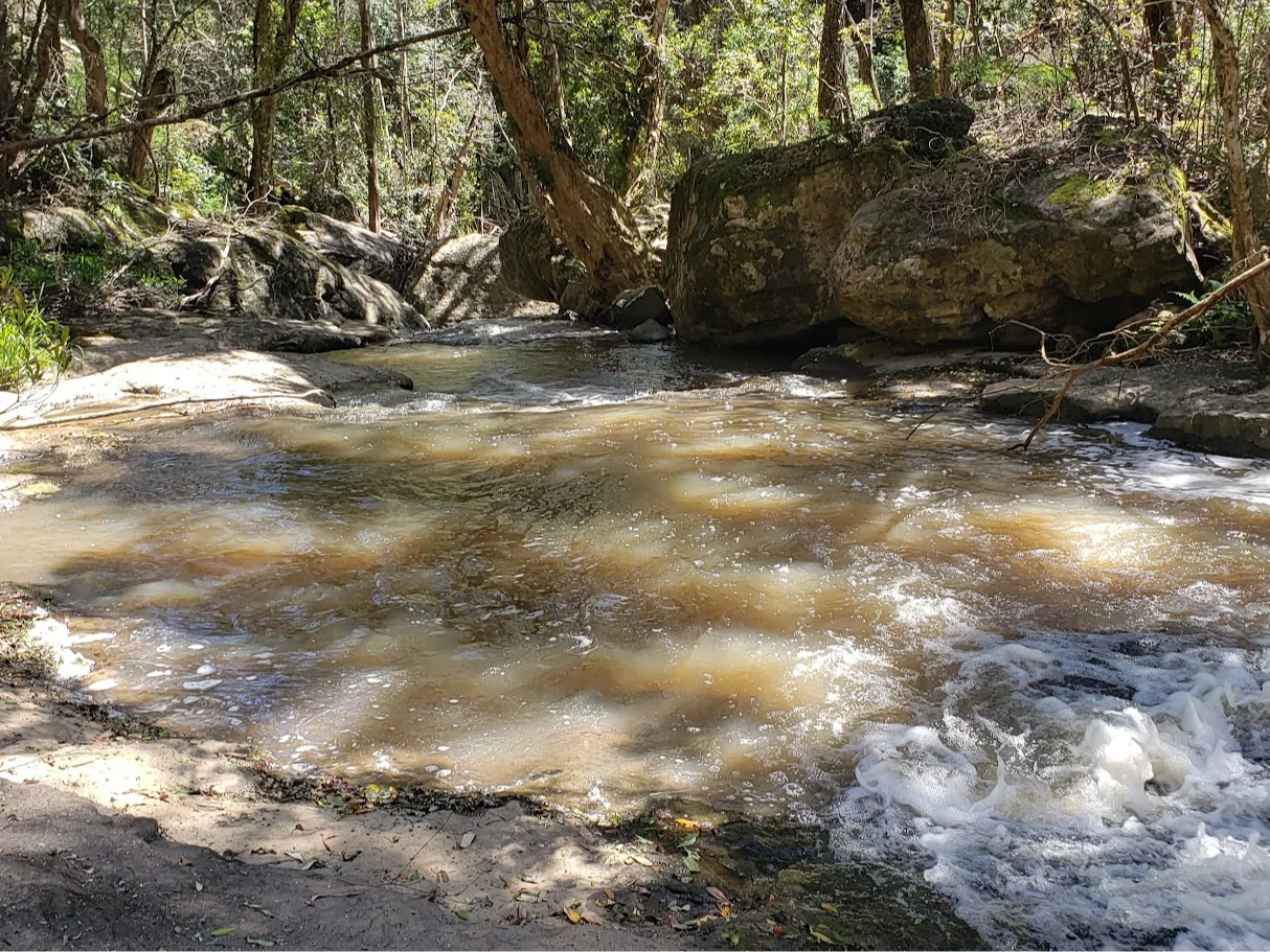 Additional image 16 of Illaroo NSW 2540