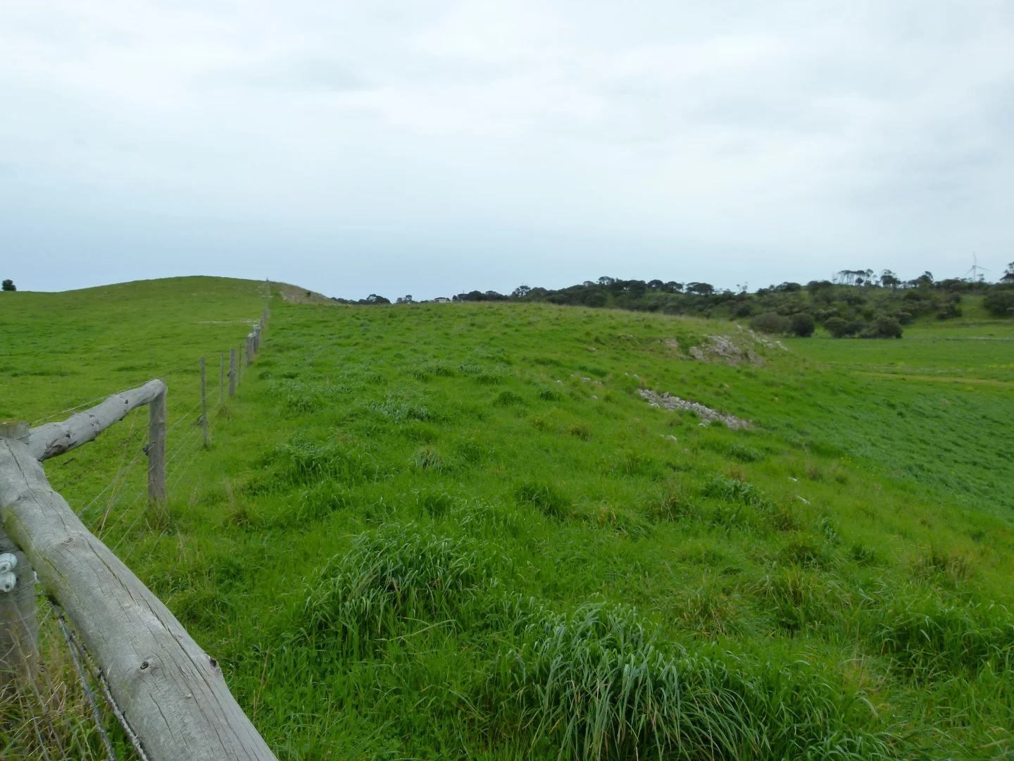 Additional image 5 of 1683 Canunda Frontage Road, Tantanoola SA 5280