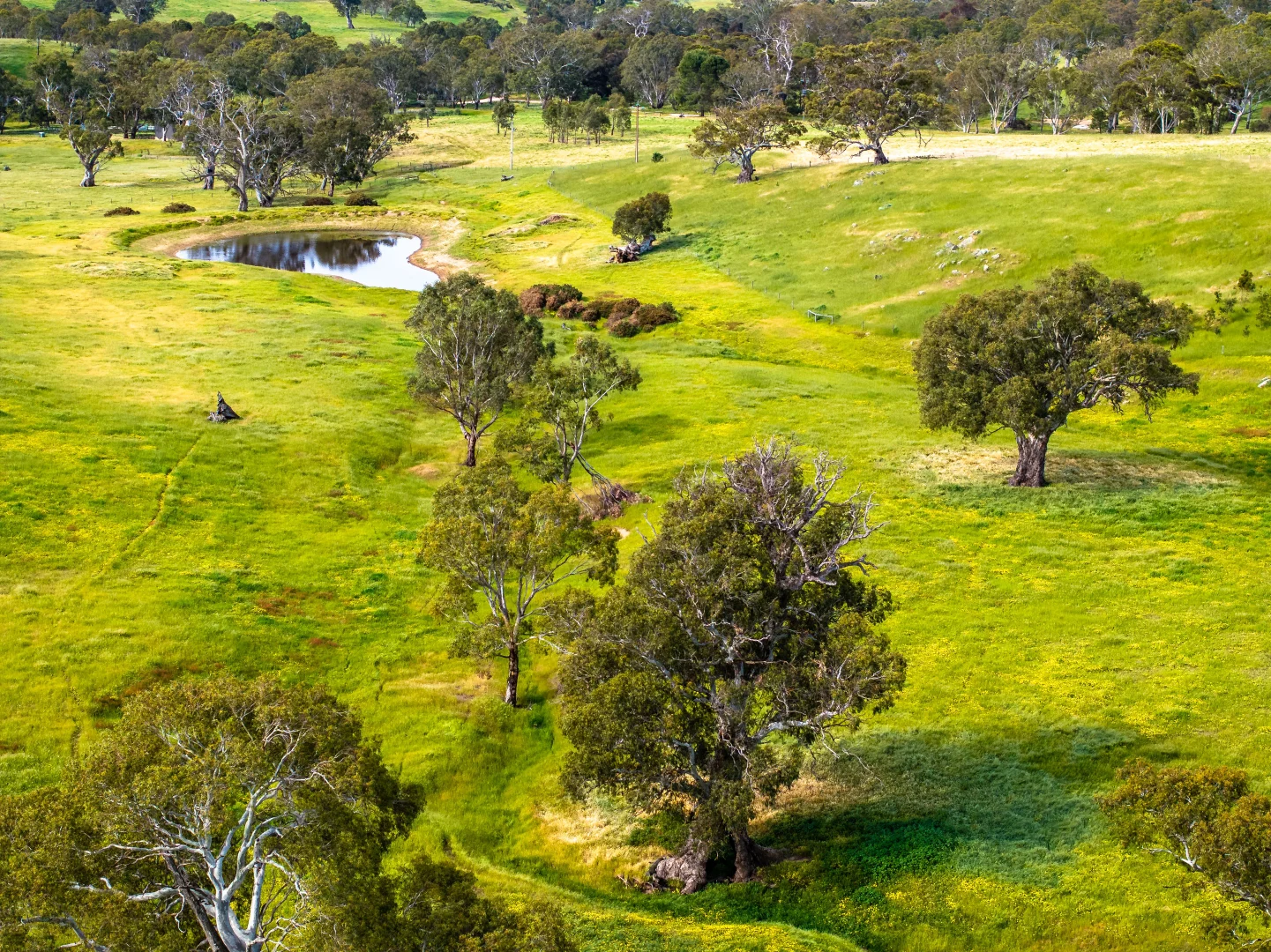 Additional image 9 of 312 Collins Road, Tungkillo SA 5236