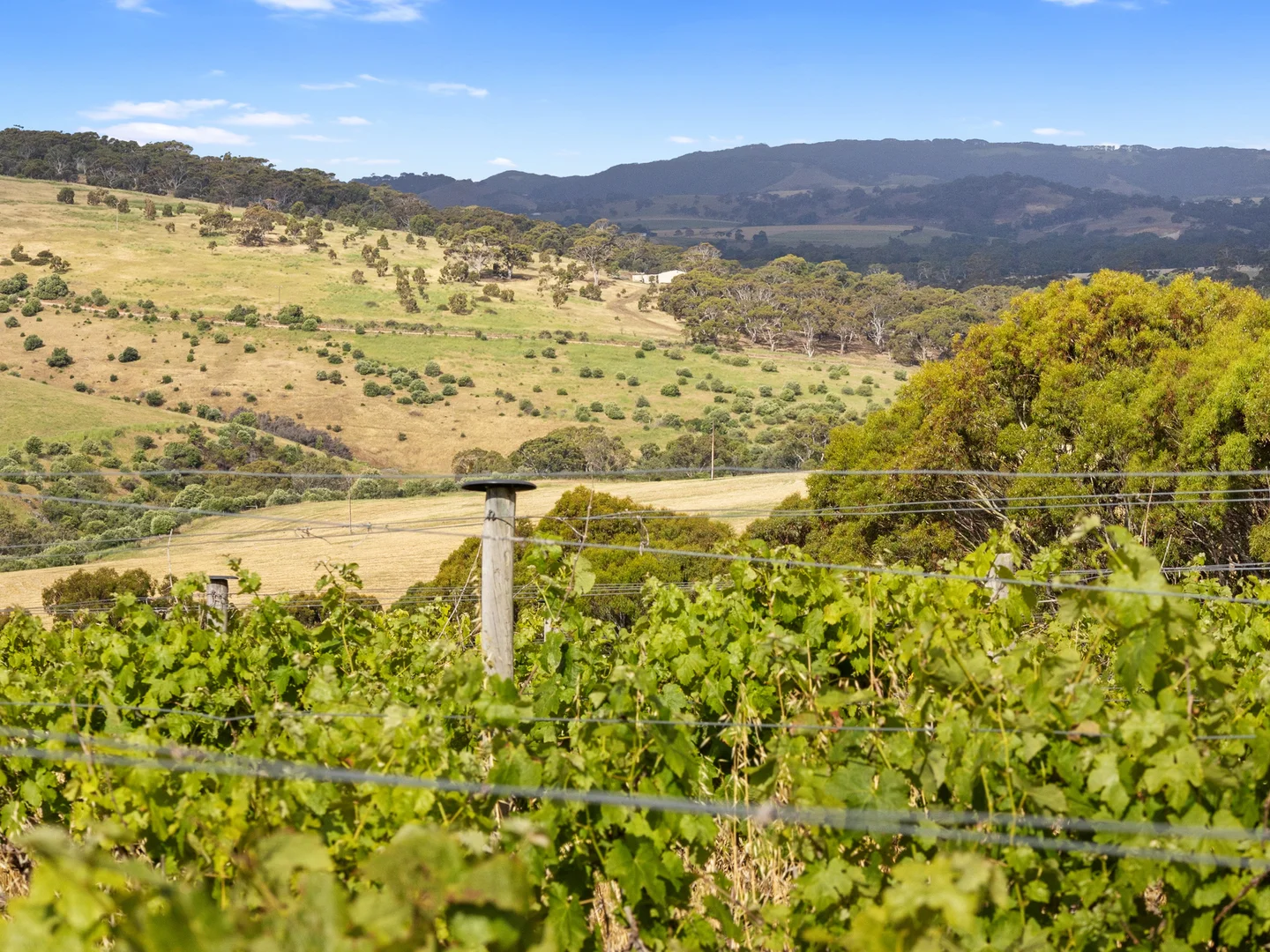 Additional image 33 of 93 Willson Drive, Yankalilla SA 5203