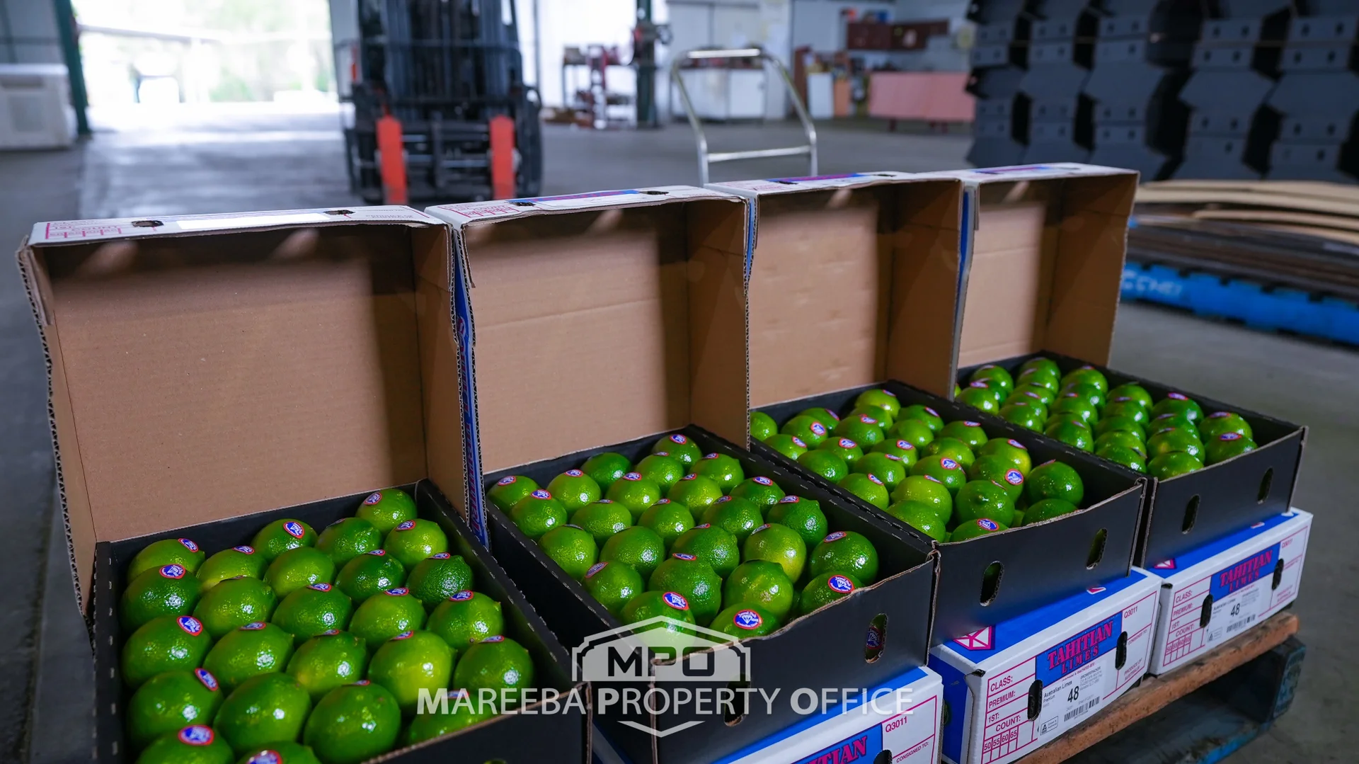 Additional image 23 of 4283 Kennedy Highway, Mareeba QLD 4880