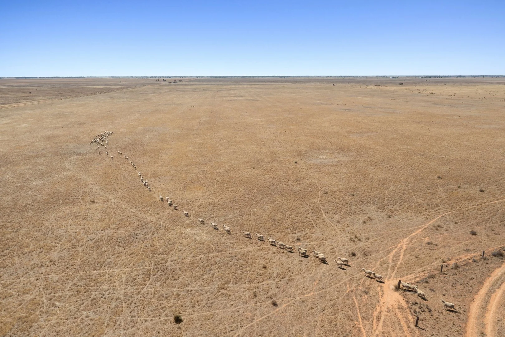 Additional image 14 of Cnr Forbes & Mitchell Roads, Mitiamo VIC 3573