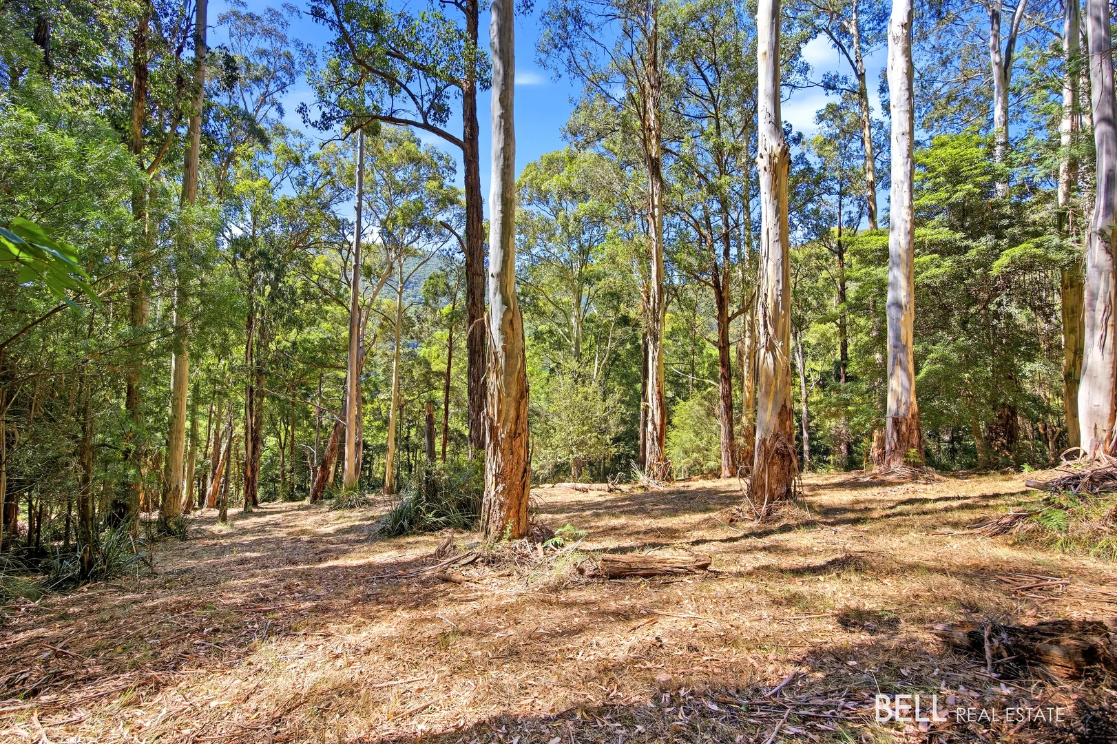 Additional image 2 of 5 Story Road, Warburton VIC 3799