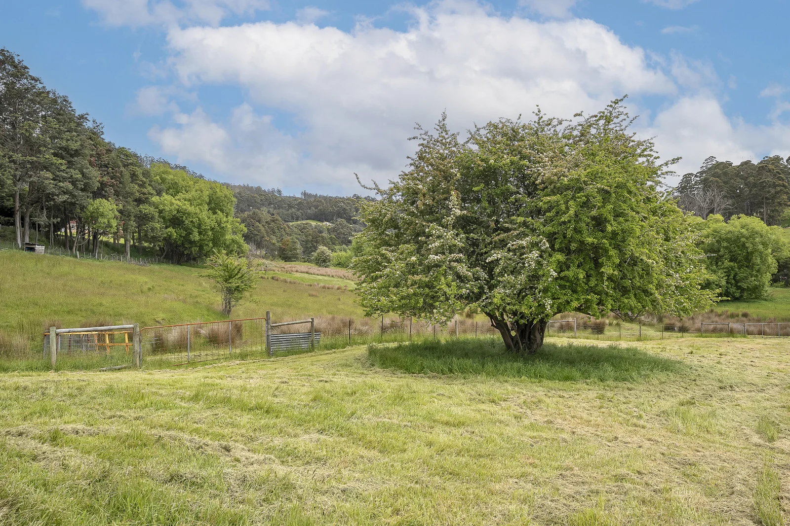 Additional image 8 of 17 Reeves Lane, Dover TAS 7117